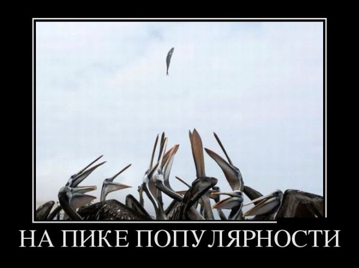 Демотиваторы