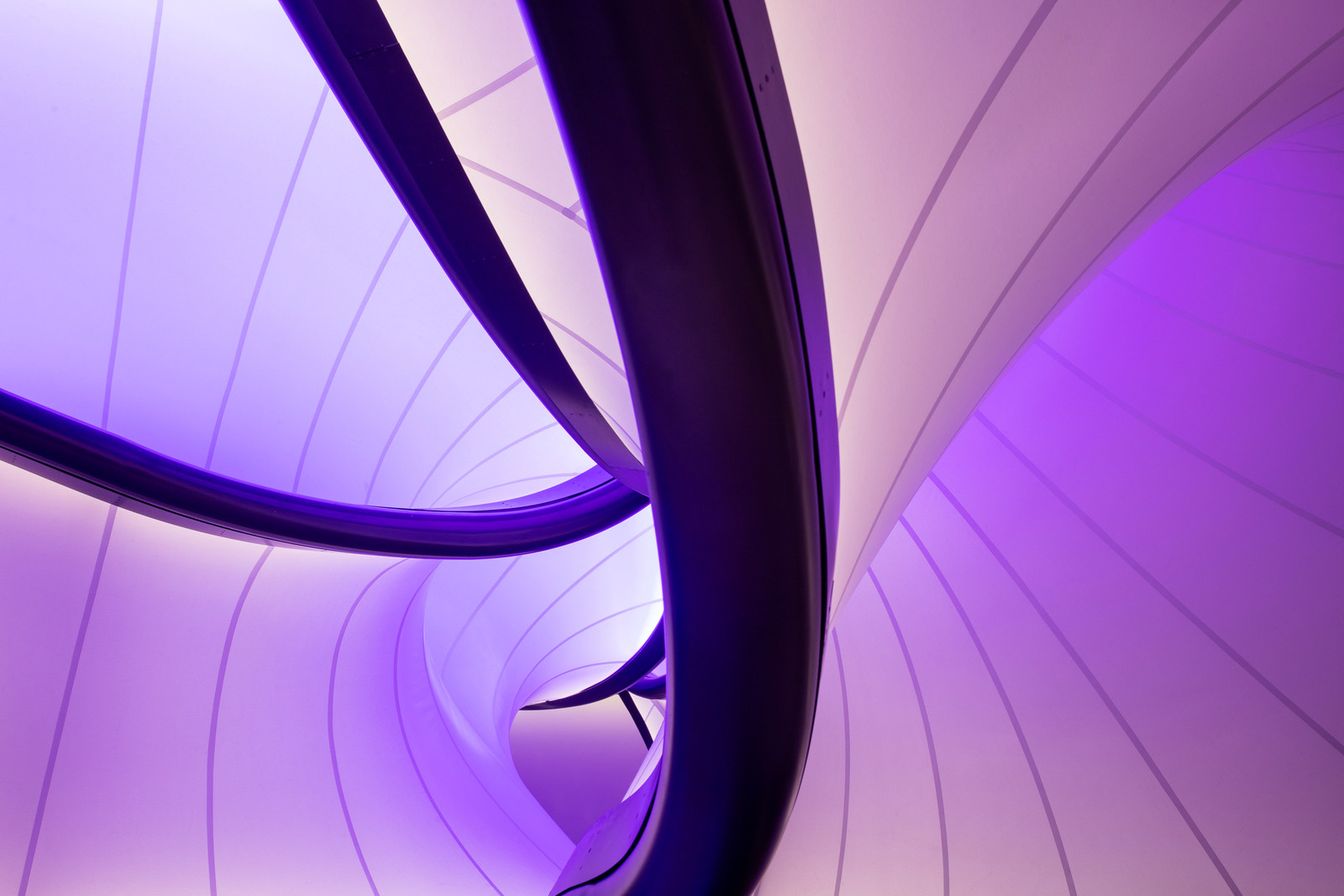 Галерея Уинтон: Математика от Zaha Hadid Architects Галерея Уинтон: Математика от Zaha Hadid Architects