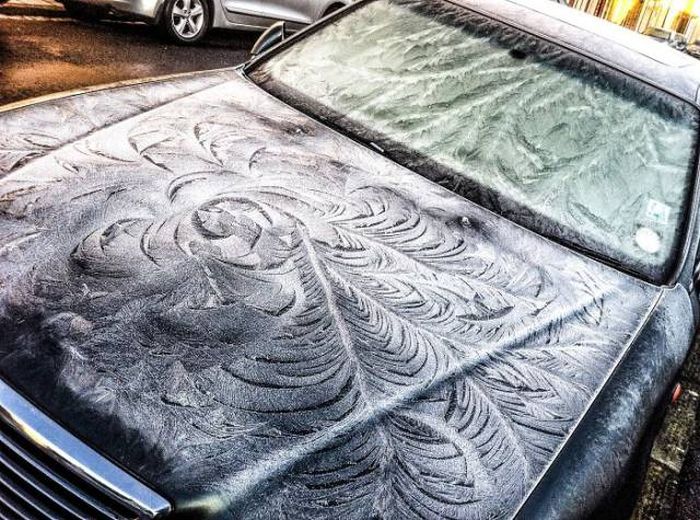 Замерзшие автомобили