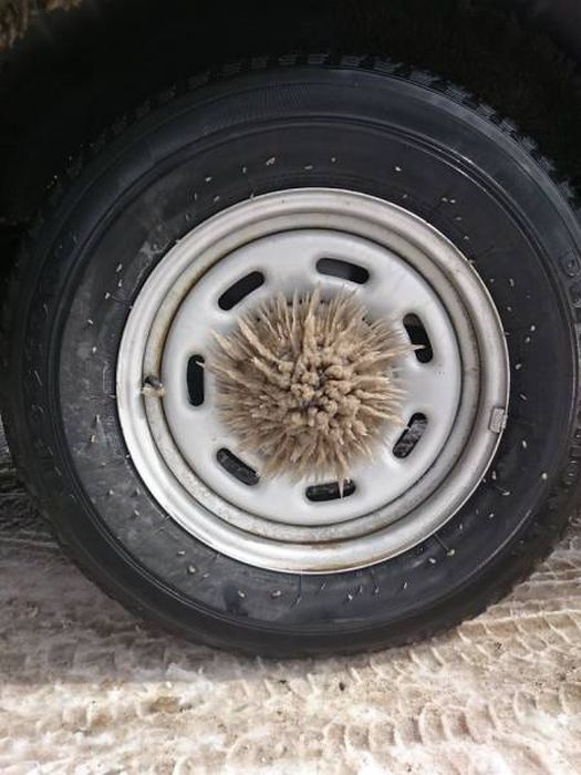 Замерзшие автомобили