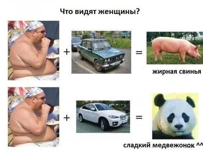 Авто-юмор (60 фото)