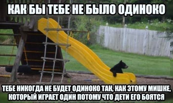 Порция картинок