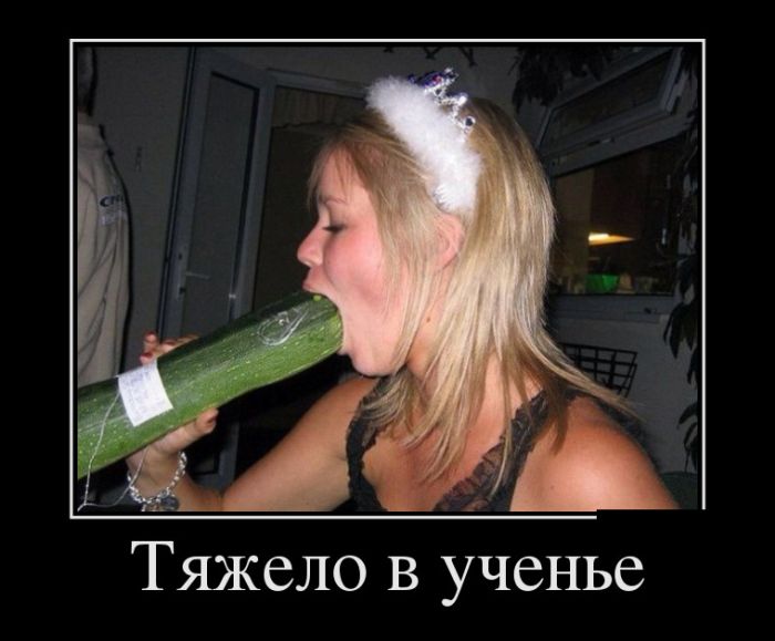Демотиваторы