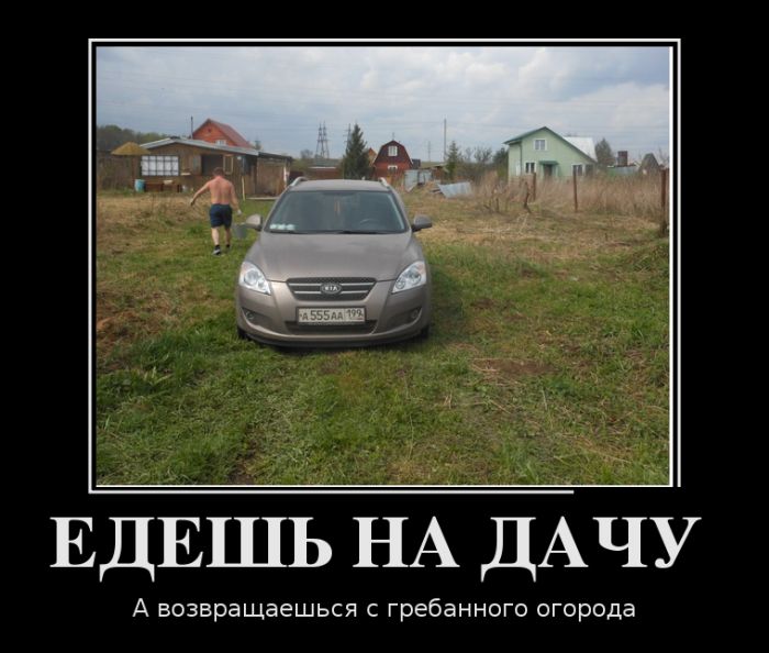 Демотиваторы