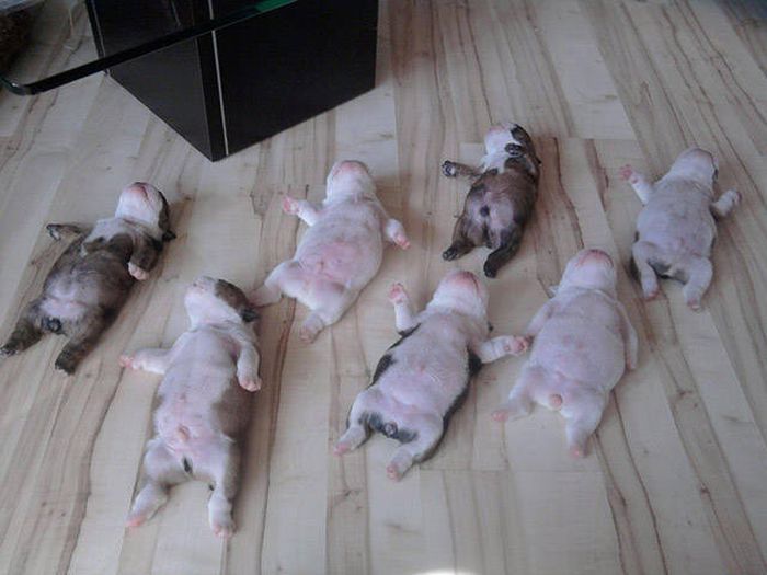 Коллекция эмоциональных снимков