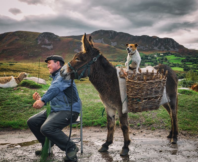 Подборка лучших фотографий, опубликованных журналом National Geographic в феврале 2017 года