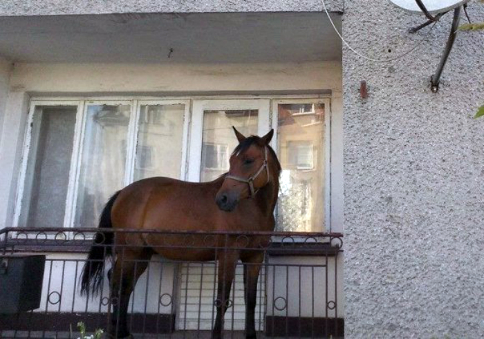 18 эпичных балконов, которые сразят наповал своим дизайном и содержимым 18 эпичных балконов, которые сразят наповал своим дизайном и содержимым
