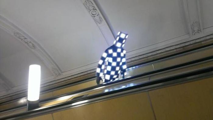 Прикольные картинки