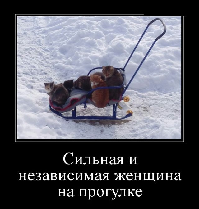 Демотиваторы
