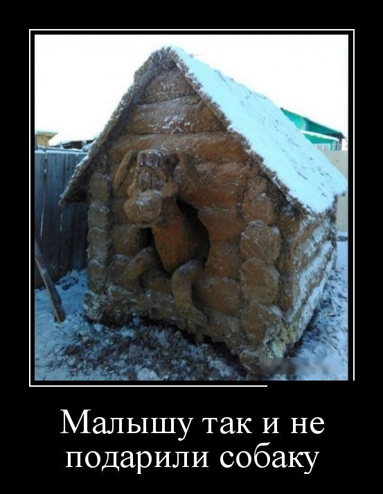 Демотиваторы
