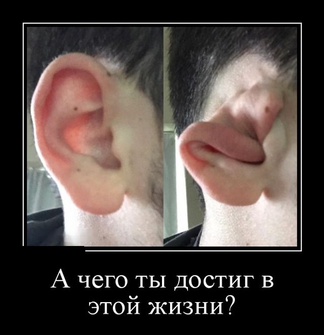 Демотиваторы