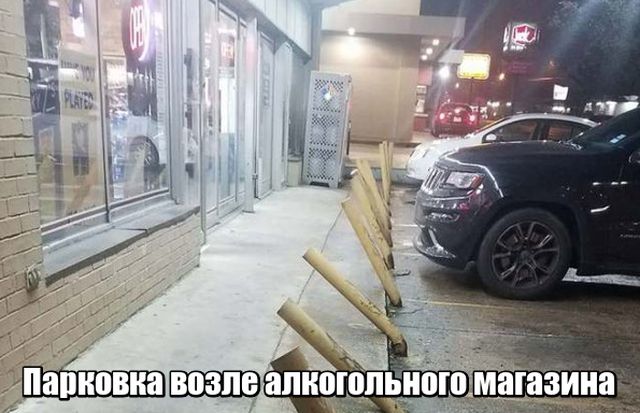Прикольные картинки