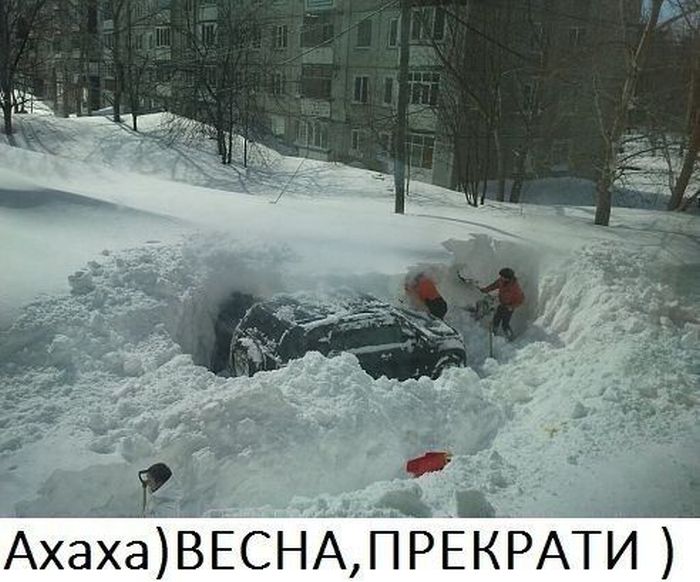 Авто-юмор. Часть 8 (40 фото)
