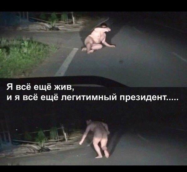 Прикольные картинки (55 фото)
