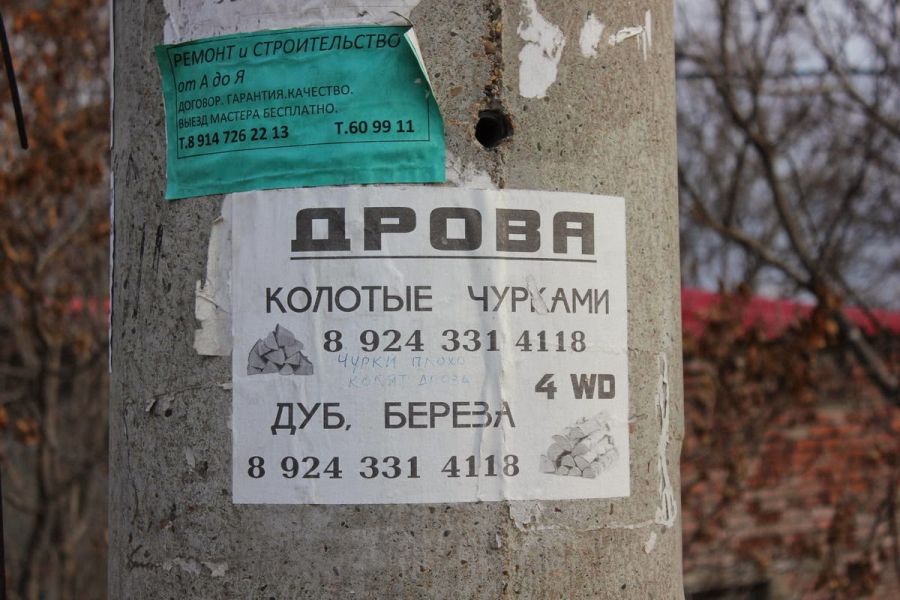 Прикольные картинки (55 фото)