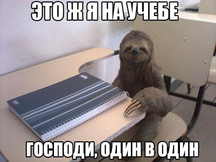 Порция картинок