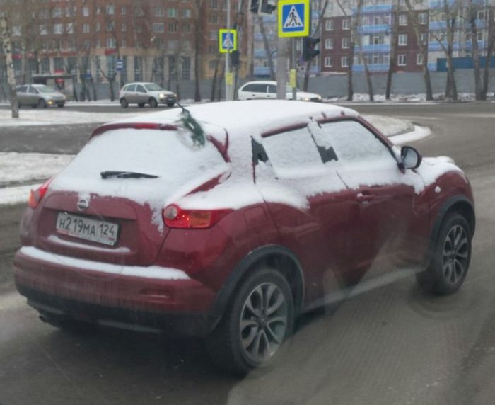 Порция картинок