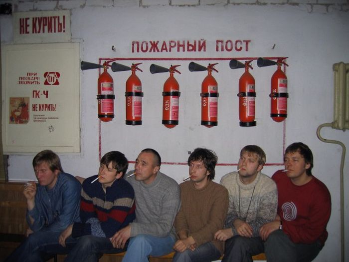 Порция картинок