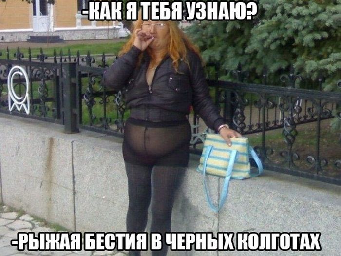 Порция картинок