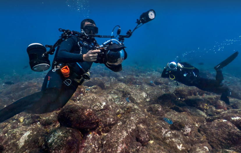 В Google Street View появились подводные изображения закрытых островов Бразилии