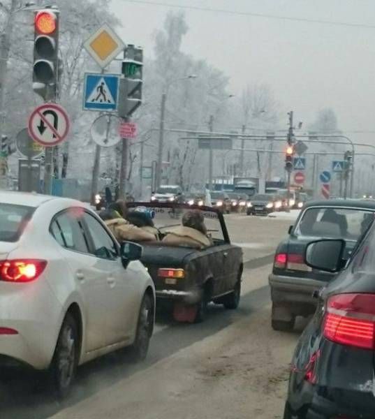 Прикольные картинки