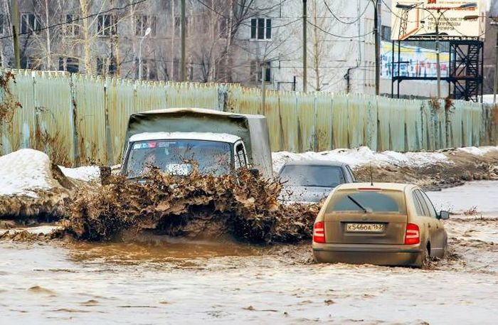 Прикольные картинки