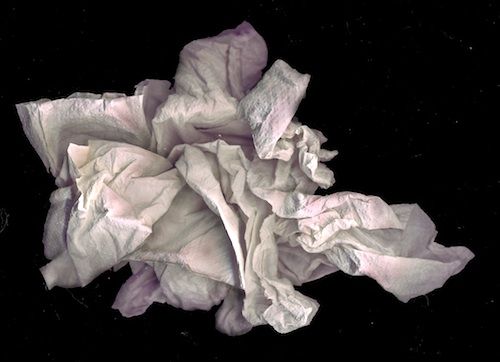 «Ты уволен!». Пользователи Интернета делятся забавными историями о выходках своих подчиненных, после которых им пришлось немедленно указать незадачливым работничкам на дверь