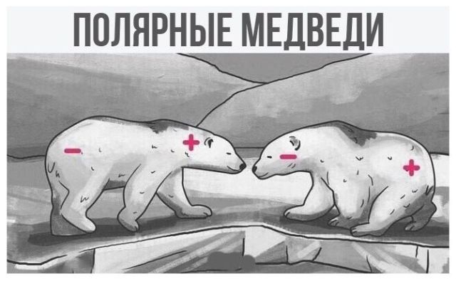 Смешные комиксы