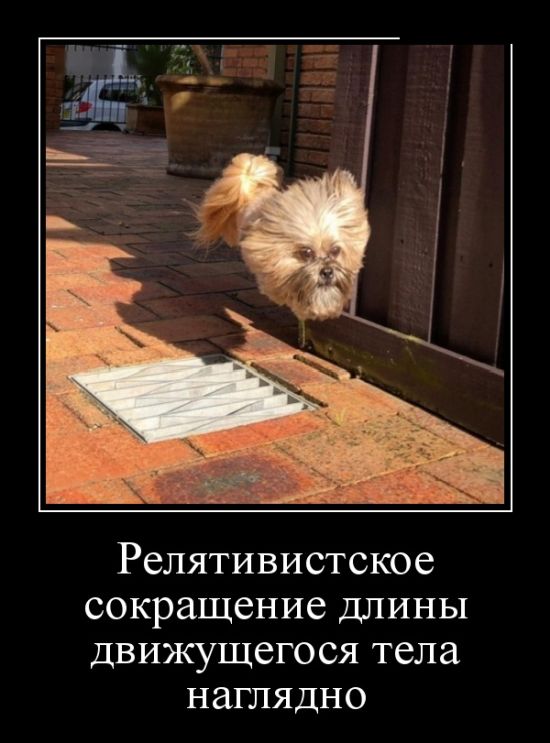 Демотиваторы