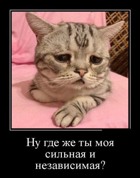 Демотиваторы