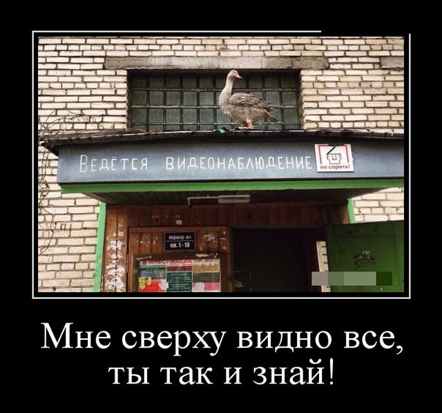 Демотиваторы