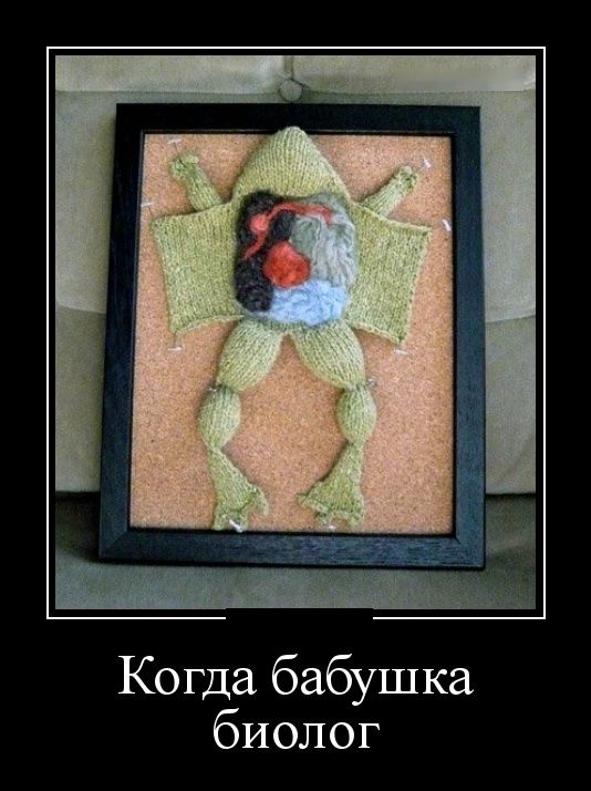 Демотиваторы