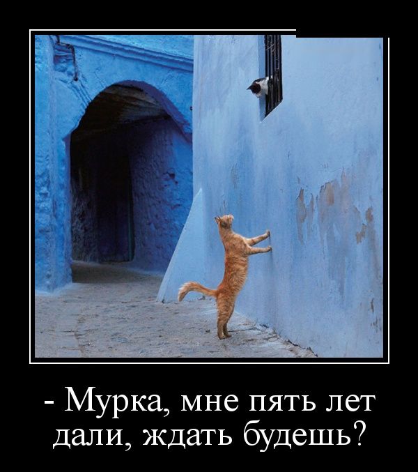 Демотиваторы