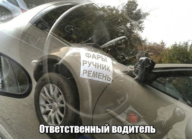 Прикольные картинки