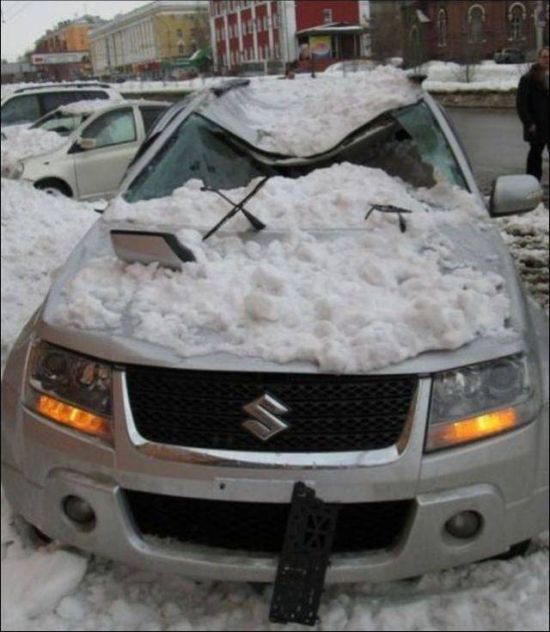 Прикольные картинки