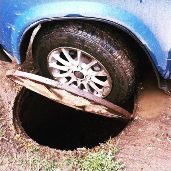 Прикольные картинки
