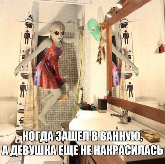 Прикольные картинки