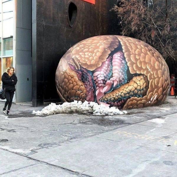 Прикольные картинки