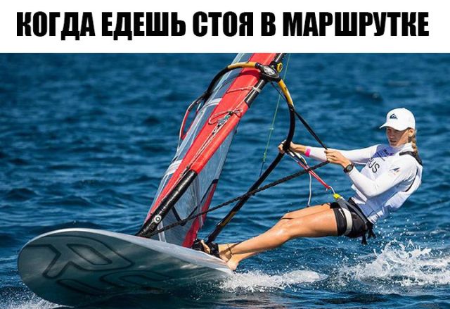 Прикольные картинки