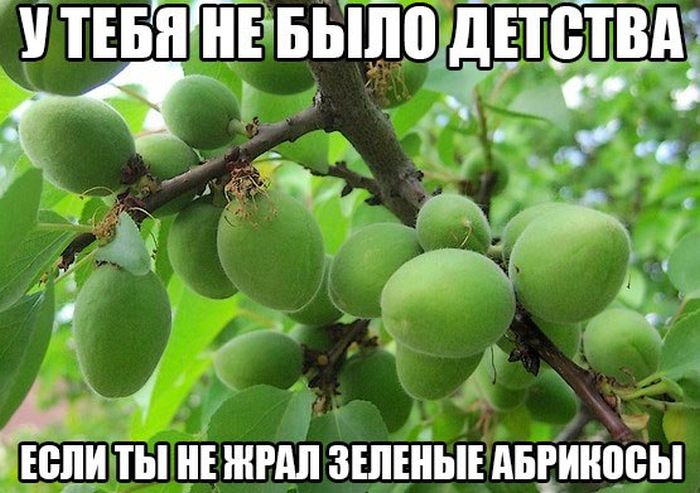 Порция картинок
