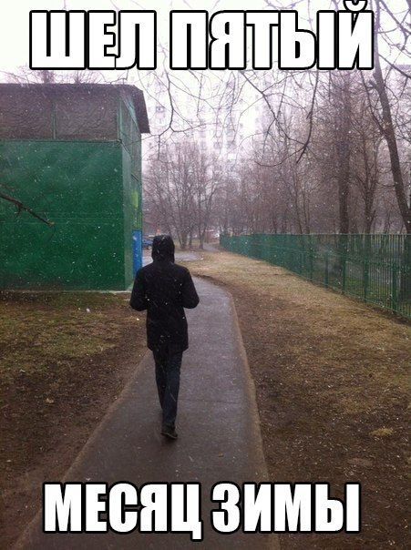 Порция картинок