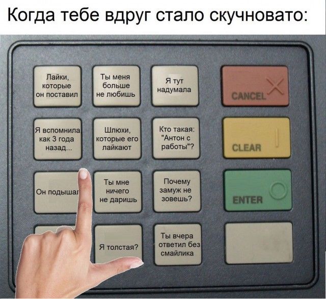Прикольные картинки