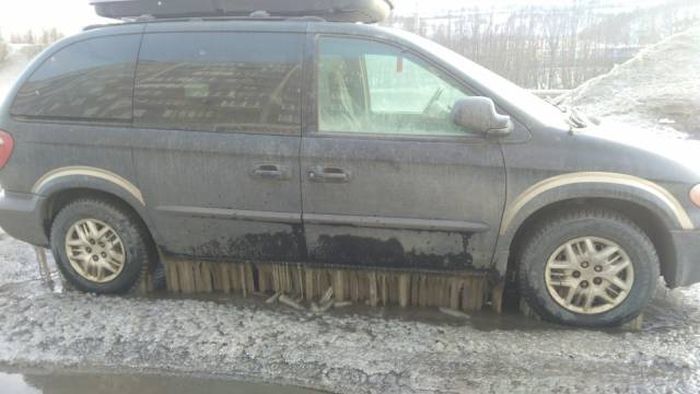 Прикольные картинки