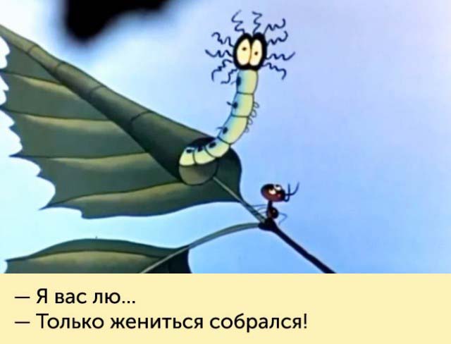 Незабываемые фразы героев мультфильмов из нашего детства