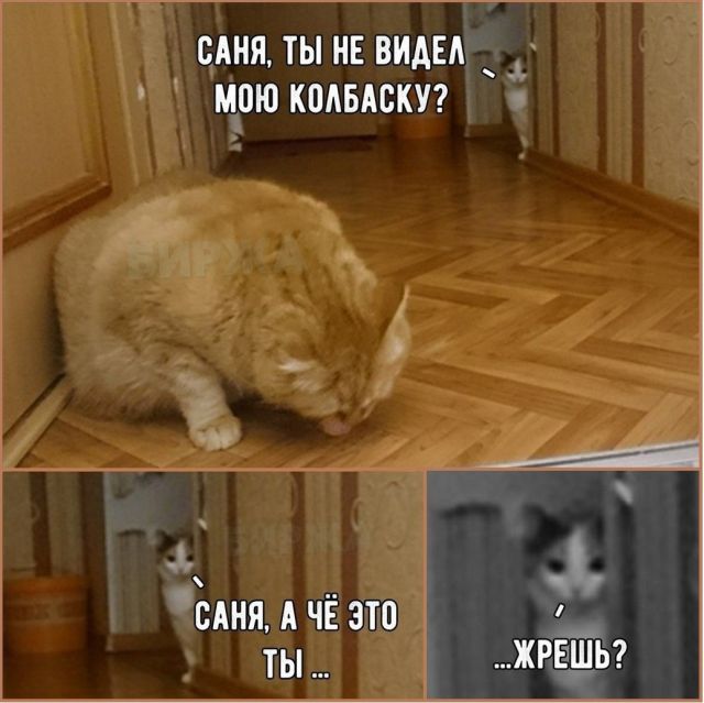 Смешные комиксы