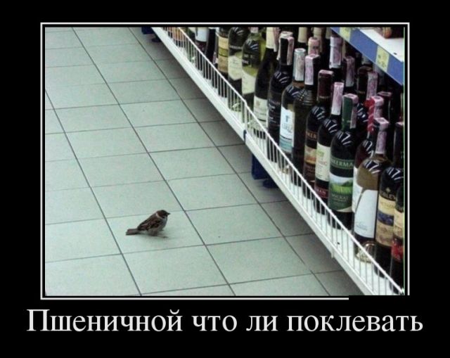 Демотиваторы