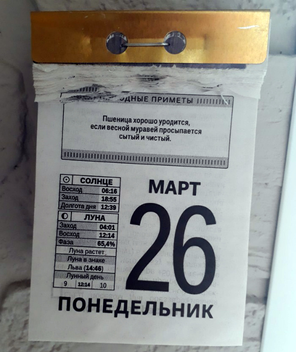 Суровая русская весна в фотографиях