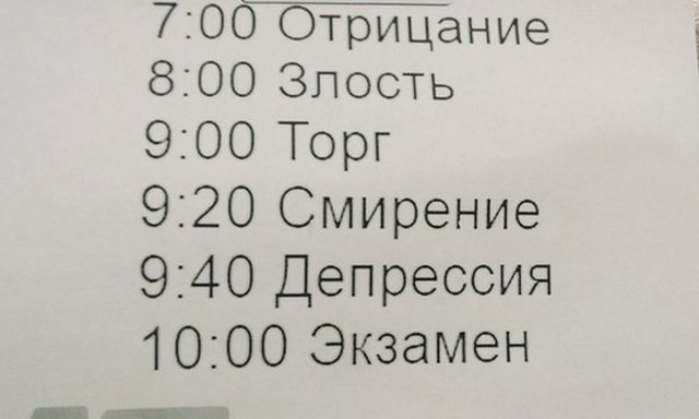 Прикольные картинки
