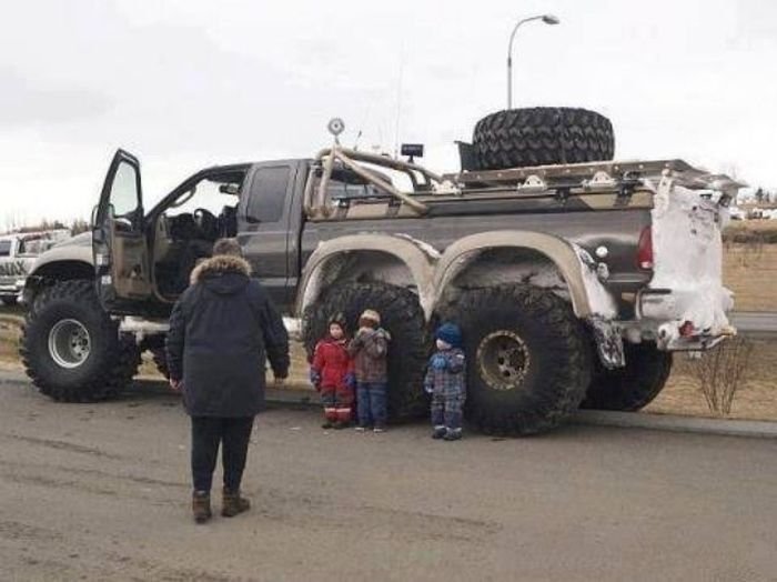 Прикольные картинки