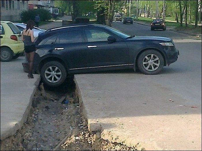 Прикольные картинки